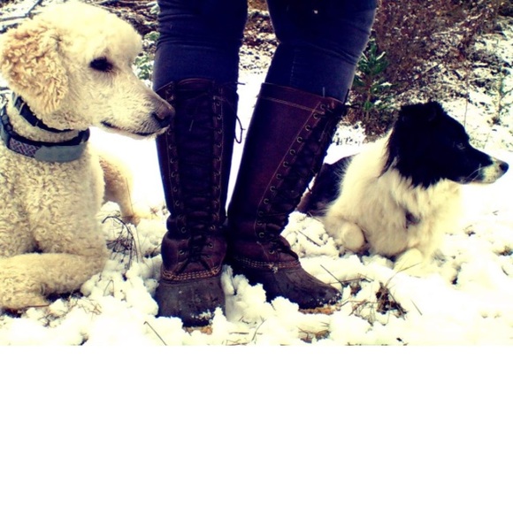 Meet your Posher, Martha Maria. - Picture 8 of 8